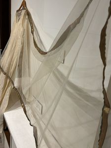 Cut sleeves Gown With Net Dupatta