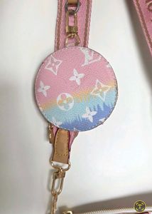 Lv inspired rainbow pochette