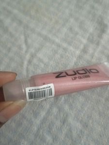 Lip Gloss ( Shinny)