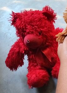 Red Plush Teddy Bear