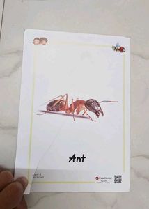 KIDS FLASH CARD MEMORY LEARNING MONTESSORI