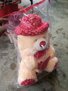 Cute Teddy Bear with Heart Hat