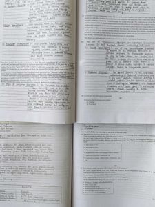combo of Business studies and English Core Oswal s