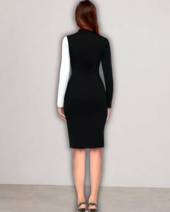 Chic Two-Tone Sheath Dress