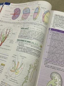 Vishram Singh Anatomy Textbooks ALL volumes