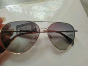 Vincent Chase Aviator Sunglasses