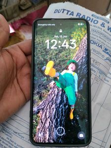Realme 13 Pro + 5G. 8/256 GB