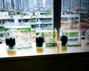 Mini Aquarium Sponge Filter