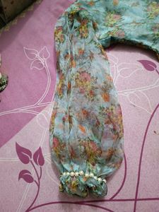 Orgenza Gown