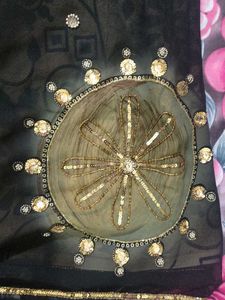 Embellished Georgette Saree