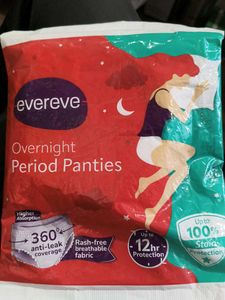 Evereve Overnight Period Panties