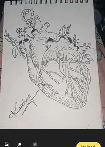 Anime Sketch - Boy &amp; Cat Art
