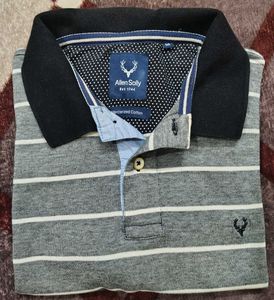 Allen Solly Striped Polo T-Shirt