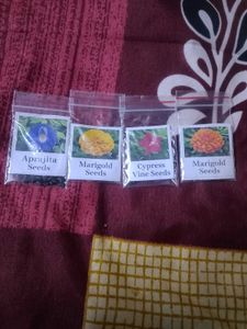 Beautiful Flower Seeds Combo of 4