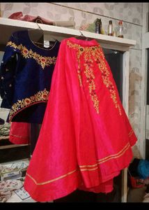 Elegant Embroidered Lehenga Choli Set