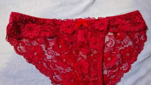 Red Lace Briefs