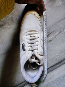 White Adidas Shark Sole Shoes,Size UK 6-7