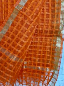 Orange Tissue Checkered Dupatta