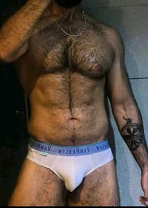 Van Heusen Men's Briefs