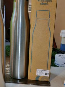 Stainless Steel Water Bottles (Set of 2)