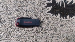 SanDisk USB Flash Drive