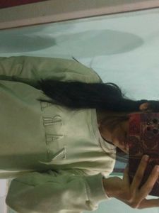 Zara Light Green Embroidered Logo Sweatshirt