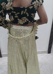 Designer Sequined Lehenga Choli