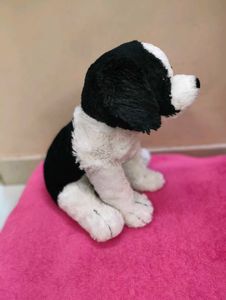 Cute Dog Plush Toy