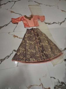 Elegant Girls Ethnic Lehenga Choli Set