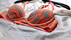 Imported Zebra Stripe Bodyguard 34A (75A)