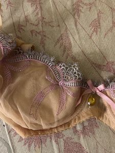 Sheer Lace Bow Bra