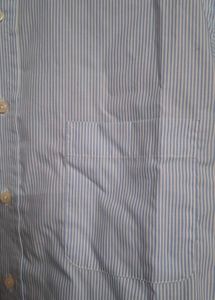 Men's Blue Striped Short Sleeve Shirt