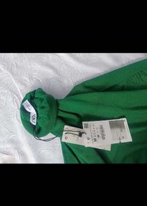 Zara Green Turtleneck Sweater