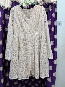 Elegant Lace Overlay Dress