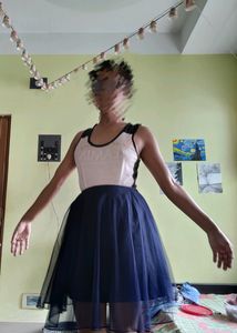 Blue Flared Net Skirt