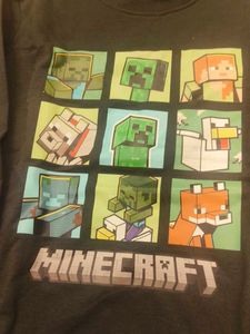 Minecraft Graphic Sweatshirt