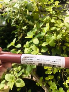 Zudio 2-in-1 Lip Color