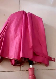 Pink Umbrella