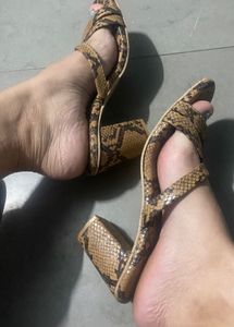 Stylish Animal Print Heels