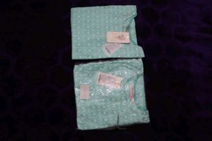 Elegant Mint Green Chikankari Kurta Set