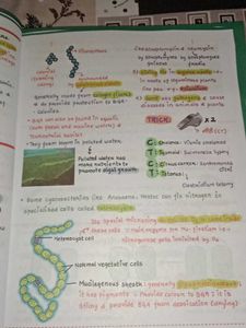 Botany Med Easy Handwritten Notes for neet