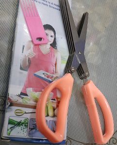 5 Blade Stainless Stell Herb Scissors
