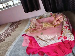 Stylish Lehnga Choli
