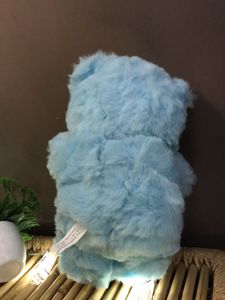 Blue Plush Teddy Bear