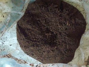 Organic Vermi compost With Worms 🐛