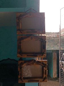 Bamboo Wall Photo frame