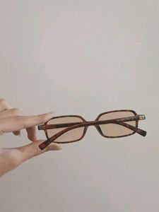 Retro Tinted Sunglasses