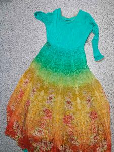 Stunning Ombre Floral Anarkali Gown