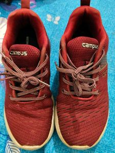 Campus Maroon Running Shoes