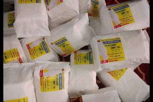 100N PAD ESCHE UR DELIVERY